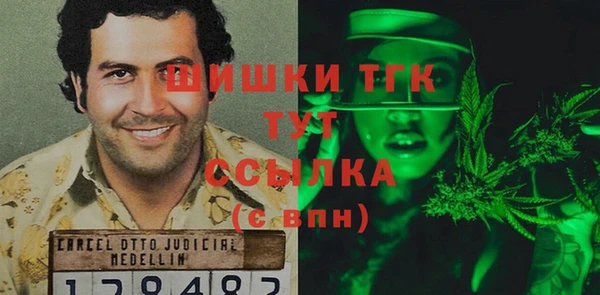 гидра Волоколамск