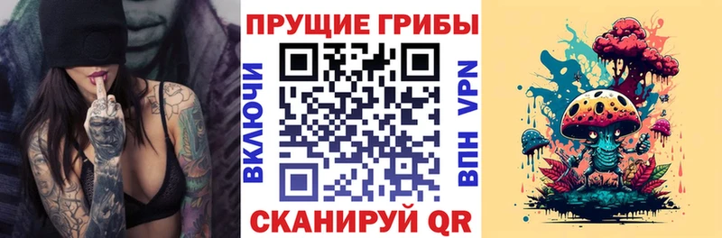 наркотики  Каспийск  Псилоцибиновые грибы Cubensis 